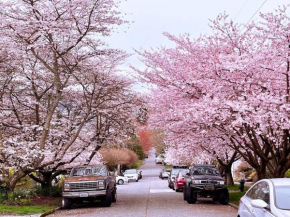 Woodland Park's Sunny Spacious Home